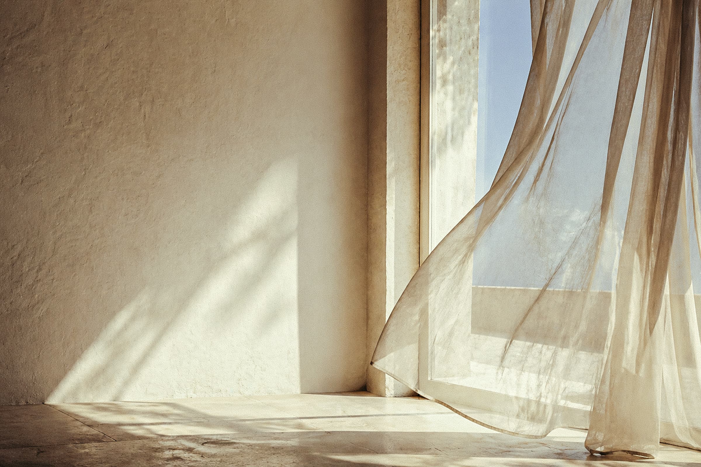 Soft morning light placeholder